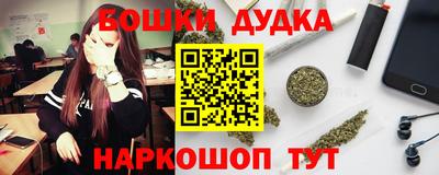 соль ск Новодвинск