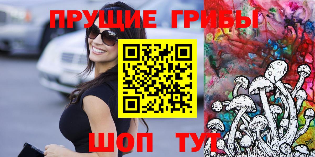 магазин продажи наркотиков  Галлюциногенные грибы Psilocybine cubensis  Славгород  Вход с VPN  Галлюциногенные грибы Psilocybe 