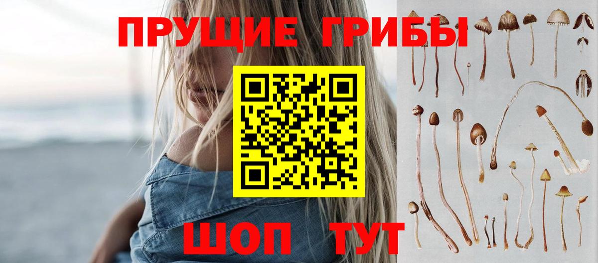 Псилоцибиновые грибы Cubensis Славгород